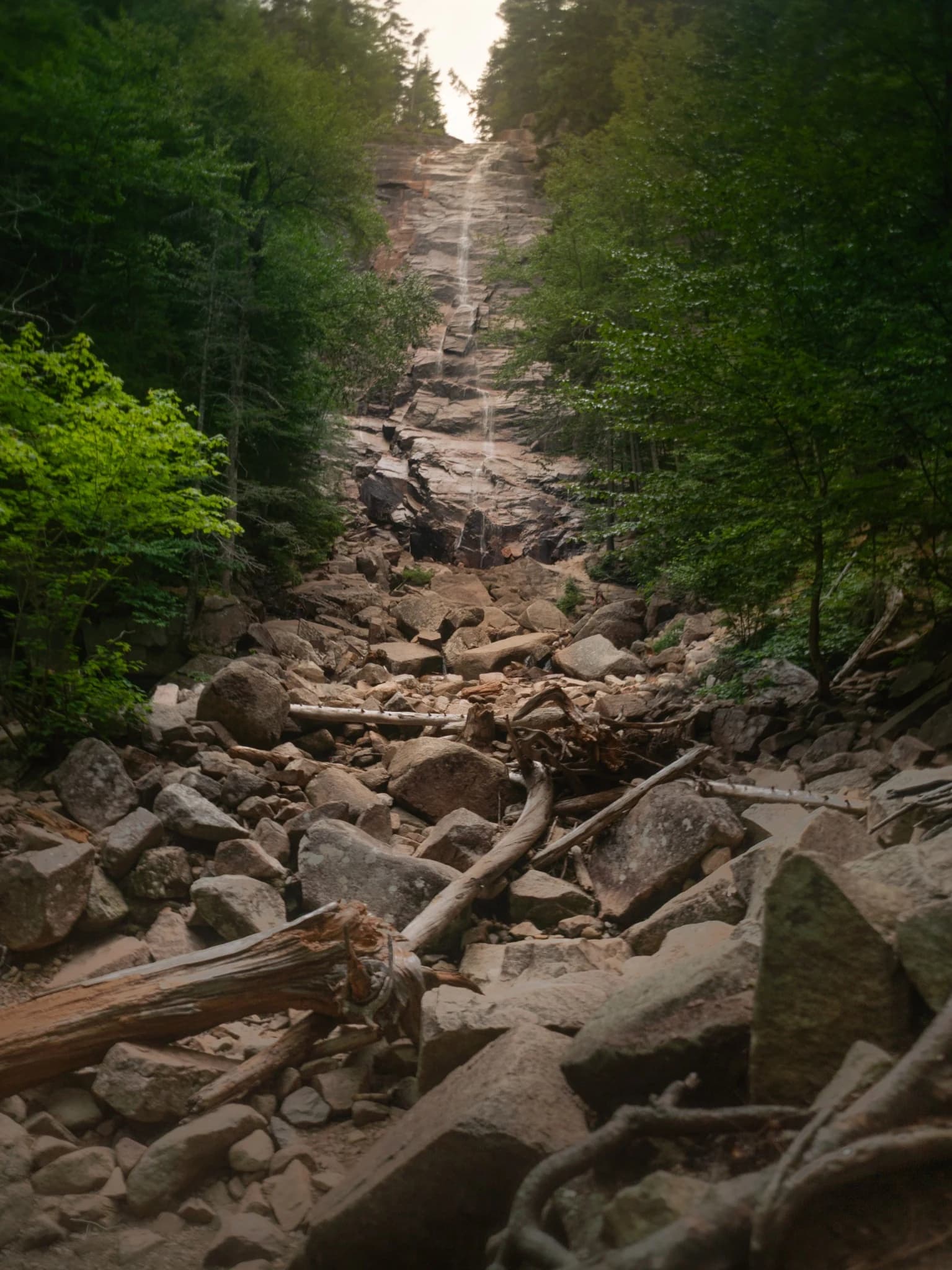 Tall rocky waterfall surrounded by dense summer forest