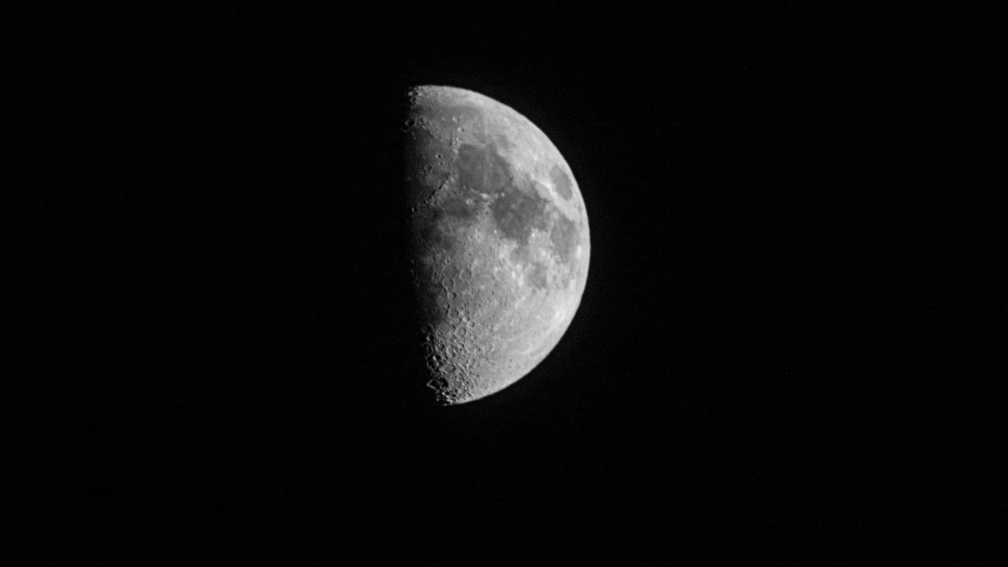 Half moon showing crater detail against a black night sky